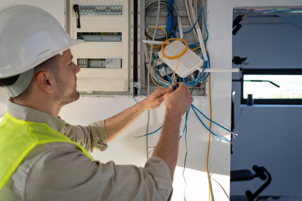 Best Electric Panel Repair  in Darlington, WI